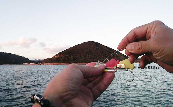 海上釣り堀専用のグミエサで波止釣りに挑戦　カワハギにアイゴを手中