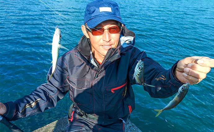 三重・錦漁港での堤防サビキ釣りで15cm級のアジが入れ食いで大満足