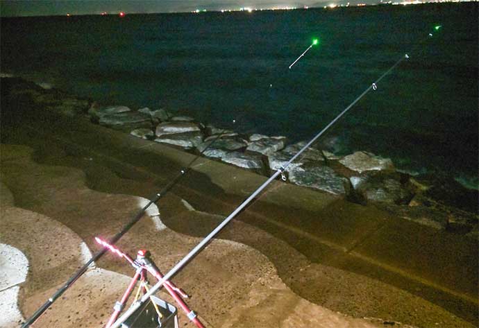 愛知・大野漁港の堤防アナゴ釣りで本命16匹　好ゲストにアジやセイゴ