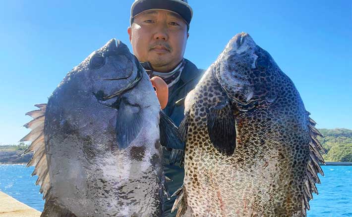 五島列島の波止釣りでイシダイ＆イシガキダイ手中 ガンガゼにヒット