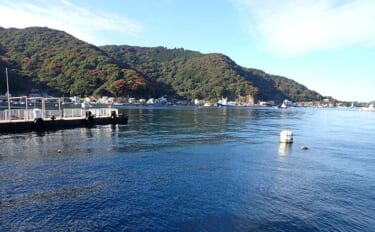 静岡・戸田の係留船で平日釣行を満喫　貧果もお土産で豪華食卓に