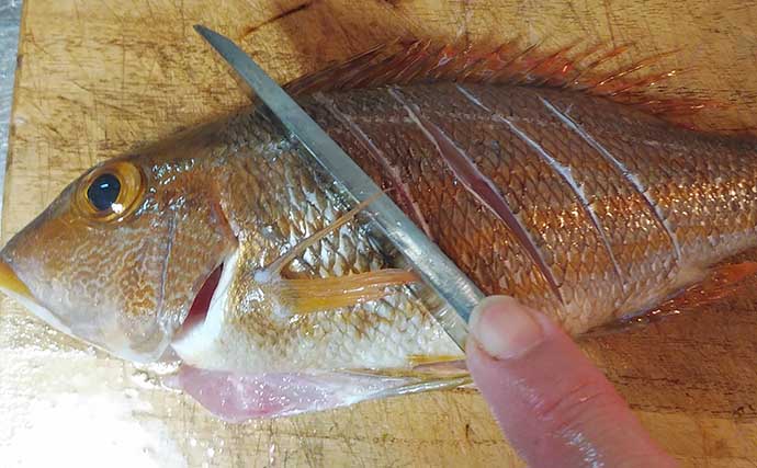 釣り人的「ゲスト魚」レシピ：イトフエフキの白焼き　ふわとろ食感が最高