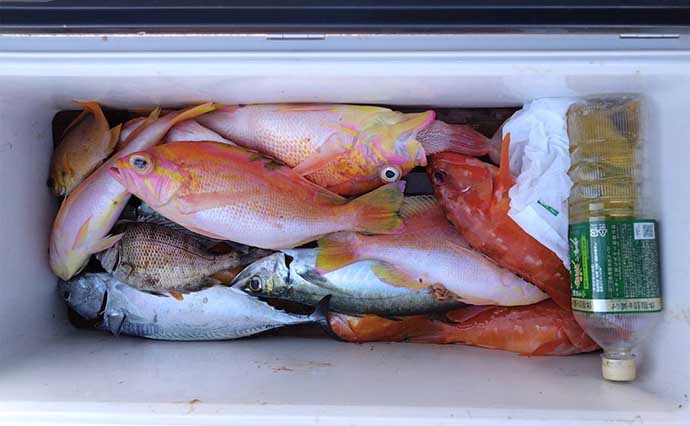 今週の『船釣り情報』特選釣果　秋本番で関西の船釣りは釣り物多彩