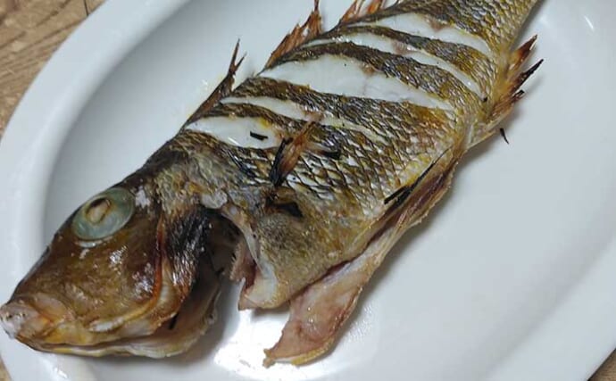 釣り人的「ゲスト魚」レシピ：イトフエフキの白焼き　ふわとろ食感が最高