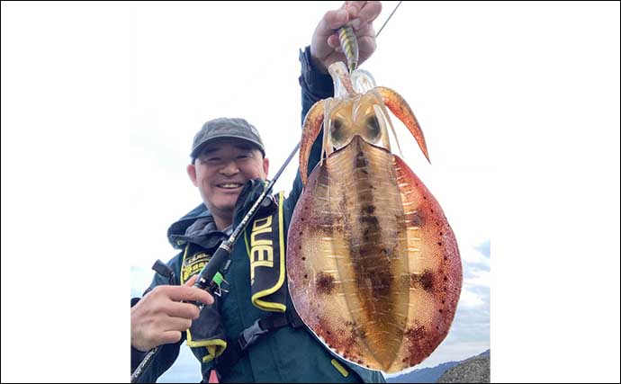 静岡・赤沢港でのエギングでアオリ2尾　水温20度超えで釣期継続か？