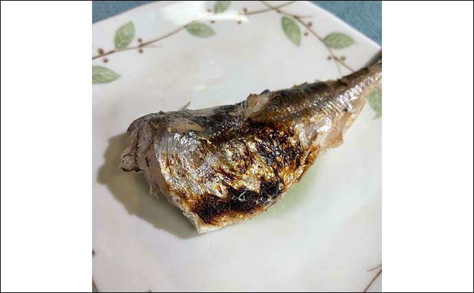 東京湾ショートLTアジ釣りを親娘で満喫　1投目から連掛けで入れ食い