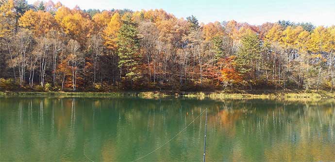 長野県でしか釣れない『シナノユキマス』を立岩湖＆加和志湖で狙う