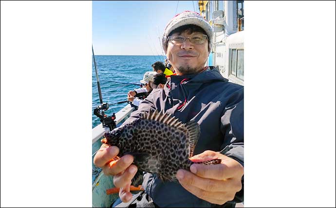 愛知のウタセ五目釣りでイシダイにチダイにキジハタ　多彩釣果が魅力