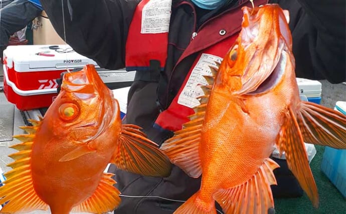 【福岡】船のエサ釣り最新釣果　沖五目でチカメキントキに高級根魚続々