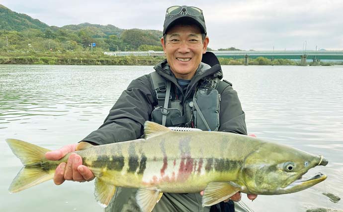 鮭有効利用調査に参加し４kg級オスと対面【新潟・三面川】　３年ぶりに実施