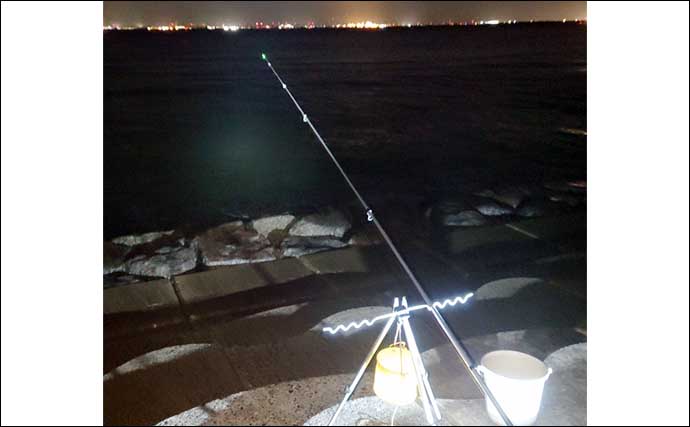 夜の堤防での投げ釣りでアナゴ21匹【愛知・大野漁港】　遠投ポイントで連発