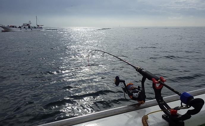 東京湾の船イシモチ釣りで30cmオーバー頭に26匹　今年は良型が中心か？