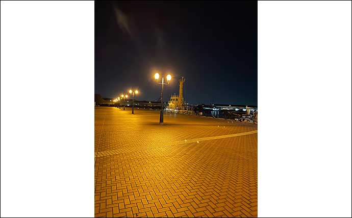 堤防にある常夜灯の代表格【水銀灯とナトリウム灯はどちらが釣れる？】