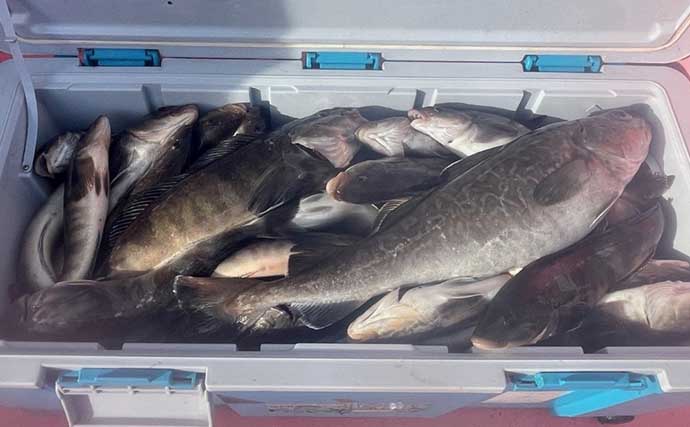流氷到来前のオホーツク海でホッケ五目釣り　最初から最後まで入れ食い