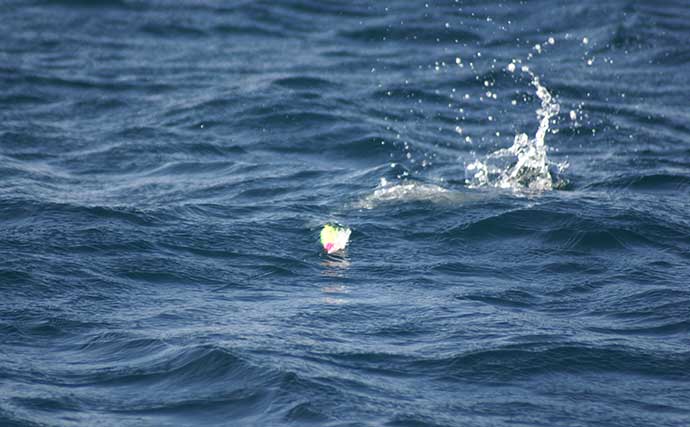 ロックショア釣行でヒラマサ浮上　圧倒的な集魚力を誇るルアーとは？