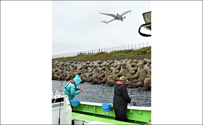 東京湾で放流魚の追跡調査を実施　遊漁船の現役船長が実釣して調査