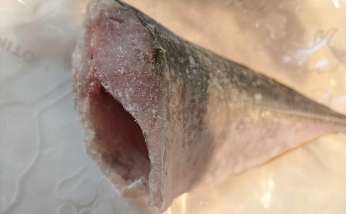 魚の『冷凍』完全ガイド　鮮度を保つ5つのコツ＆保存期間延長法