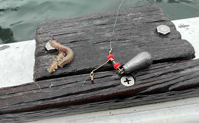 江戸前ハゼ釣り大会で15cm良型続々　釣り後の屋形船での懇親会も満喫