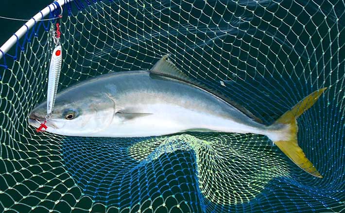 d43a4ed60ebbf2dfb5c365e4f3002b