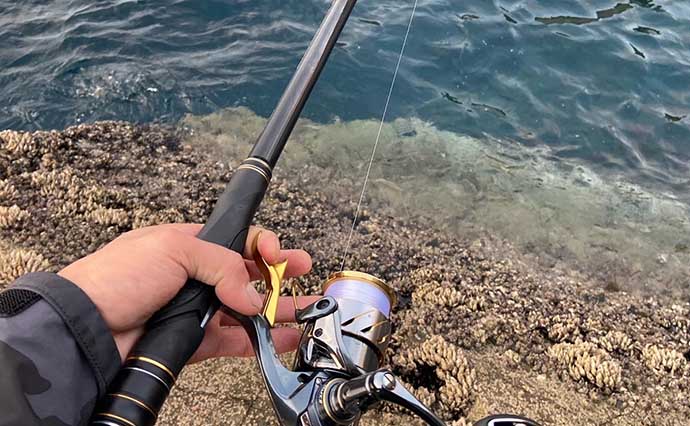 磯釣り聖地『五島列島』開催のクロ釣選手権大会初出場でまさかの優勝　最大は50cmグレ