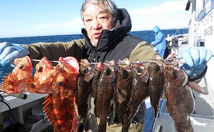 冬のコウイカ釣りで２桁釣果と好スタート【愛知】 船釣り最新釣果