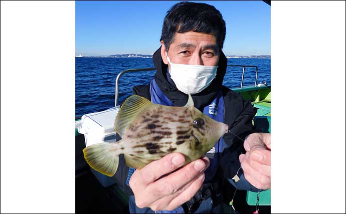東京湾カワハギ釣りで28cm頭にトップ10尾【吉野屋】 急な水温低下に苦戦