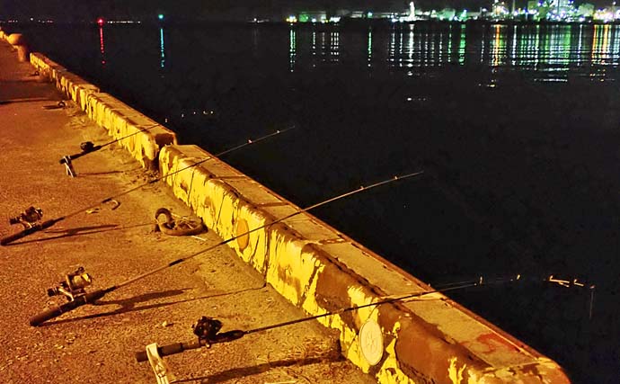 夜の漁港でのアナゴ釣りで本命２桁釣果【三重・四日市】 新子サイズが中心