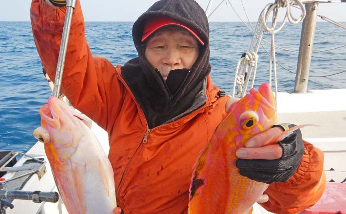 玄界灘のテンビン五目釣りでアカイサキ主体にタカバ（マハタ）など多彩