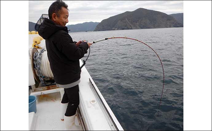 アジ泳がせ釣りでオオモンハタにマハタ【大分・結花丸】 アワセのタイミングが肝