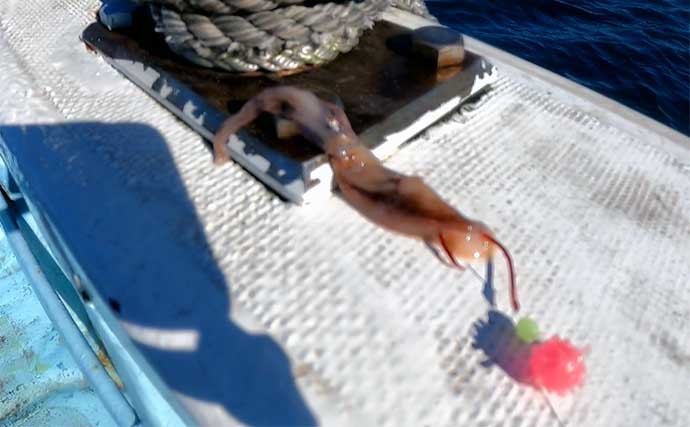 「初心者でも最高級魚アカムツ爆釣の可能性アリ」 富山湾アカムツ釣り入門解説