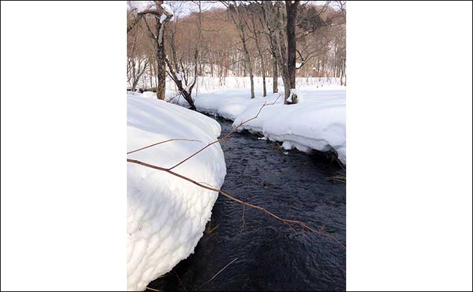 本格的な冬真っ最中の北海道での渓流ルアー釣りで35cmブラウントラウト手中【尻別川支流】