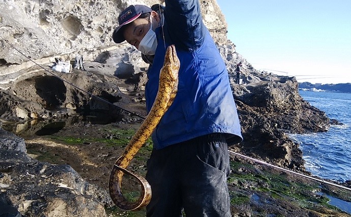 地磯でのブッコミ釣りで105cm寒ウツボ浮上【千葉・勝浦】　2時間で6匹ゲット