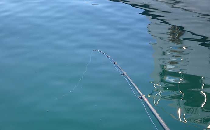 フカセ釣りの道糸「ナイロンライン」に定期的な巻き替えが必要な理由3選
