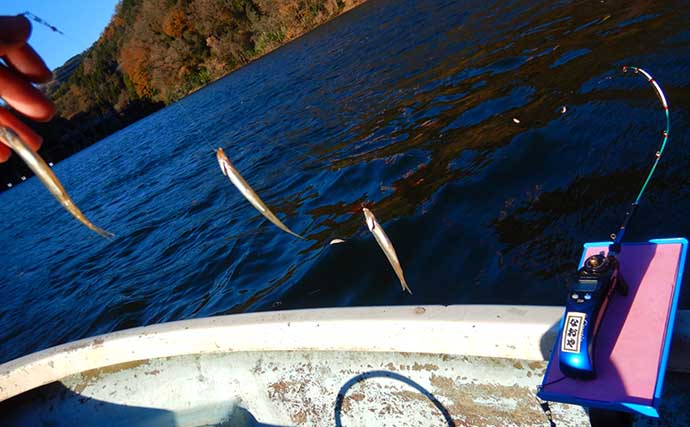 神奈川・津久井湖のワカサギ釣りが開幕から好調　平均サイズ大きく450尾1600g手中