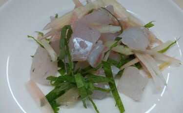 釣った魚で作る「アレンジ刺身」レシピ：香味野菜和えマゴチのブツ