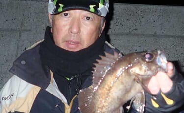 堤防での電気ウキ仕掛けエサ釣りで20cm級メバルが入れ食い【熊本】