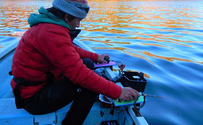 神奈川・津久井湖のワカサギ釣りで661尾2430g　開始1時間で200尾超えと爆釣