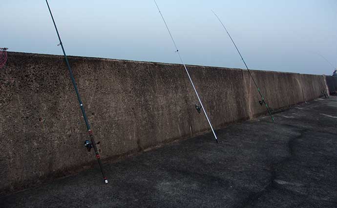 冬の投げ釣りで30cmマコガレイ獲った【大阪・岸和田沖一文字】 漫然と置き竿はダメ？