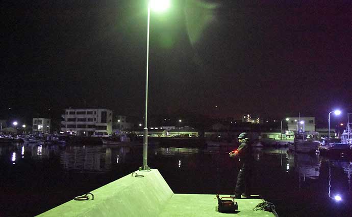 ヘッドライト有無で夜釣り釣果は決まる　準備＆仕掛け交換時間に４倍の差