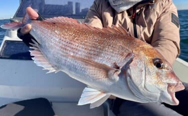 東京湾タイラバ釣行で2.5kg頭にマダイが連発　波動＆音が出るヘッドに…
