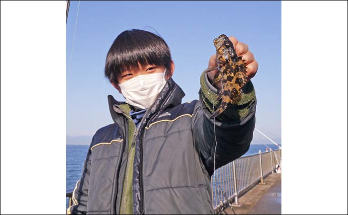 投げ釣行で根魚に小型カレイと対面【愛知】　海底一面ヒトデ絨毯？