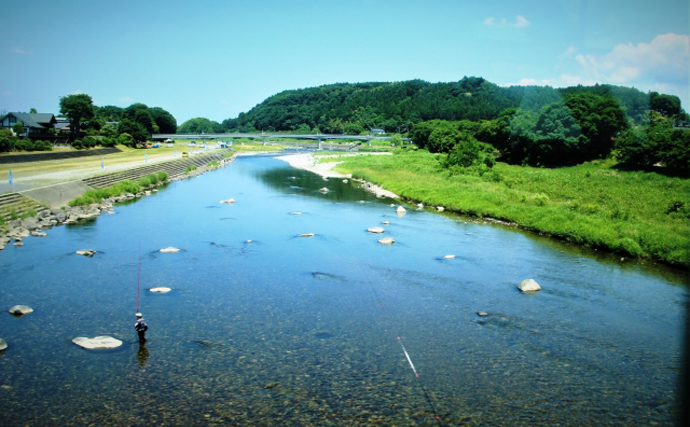 「霞ヶ浦導水事業」が17年ぶりに再開　外来生物の生息域拡大に懸念