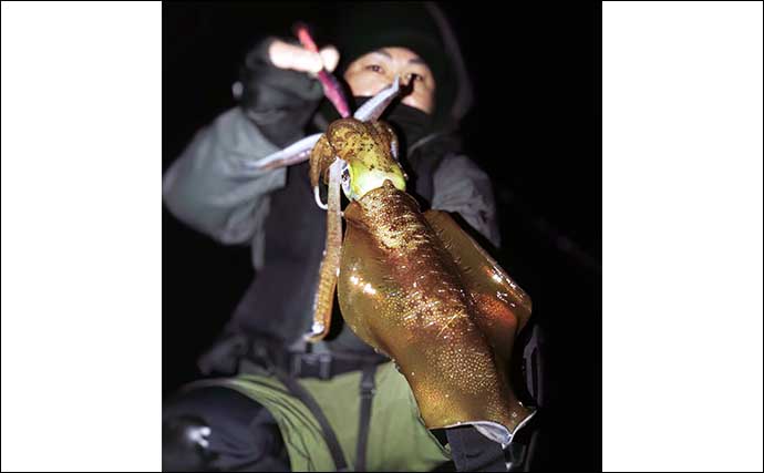 ナイトエギング釣行で良型アオリイカ連打　低水温期は夜がオススメのワケとは？