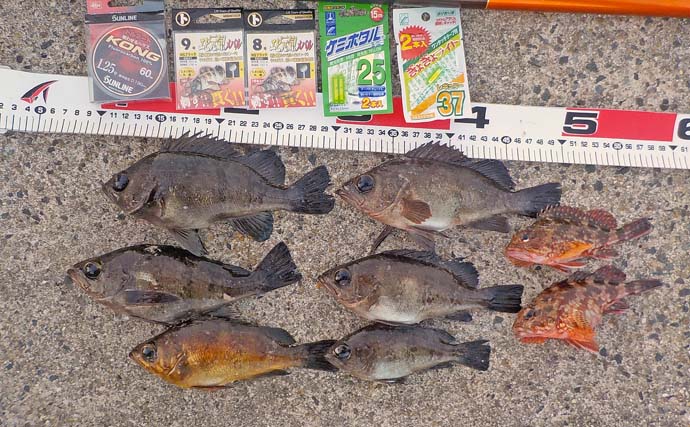 堤防エサメバル釣りでカサゴ混じりで本命8匹キャッチに満足【愛知・豊浜新堤】