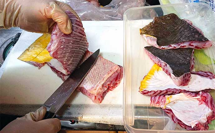 釣りでは招かれざるゲスト魚『アカエイ』の解体＆下処理法を解説