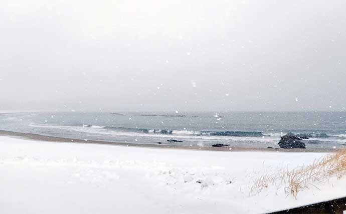厳寒期の雪降るサーフで52cm海アメマス釣った【青森】 シーバスタックルでキャッチ