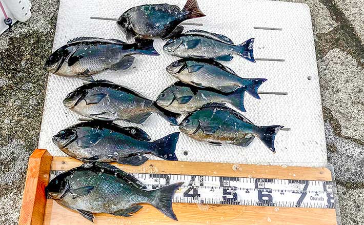 当時物釣具！ 20230224_ch2801.jpg