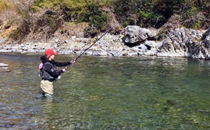 ヤマメ狙いの渓流釣り攻略　【のべ竿エサ釣りでの釣り方を徹底解説】