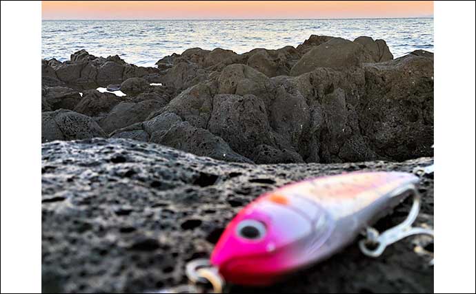 壱岐島は【異次元の釣りの楽園】　漁港で50cmアジに磯で1m超ヒラマサ狙える