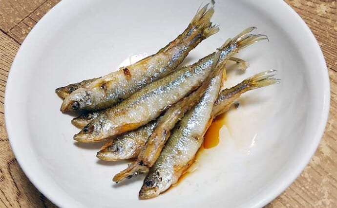 釣った魚で作る「保存食」レシピ：ワカサギのオイル漬け　つまみに最高